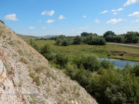 Саракташский район