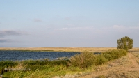 Адамовский район