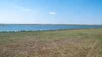 Новоорский район