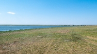 Новоорский район
