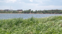 Озеро Свистун. Июнь 2021 года