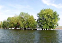 Акбулакский район