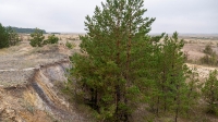 Андрианопольские старательские разработки. Август 2021 года