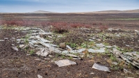 Старое кладбище со стелой-кулпытасом близ села Красноуральск