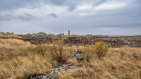 Старое кладбище со стелой-кулпытасом близ села Красноуральск
