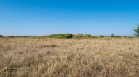 Старое кладбище со стелой-кулпытасом близ села Буранчи. Август 2021 года