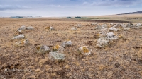 Кладбище Кызаулер с тремя стелами-кулпытасами