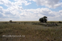 Адамовский район