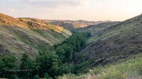 Ущелье Врата Ада. Июль 2020 года