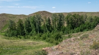 Гайский район