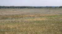 Село Красногор. Следы крепостного вала и рва