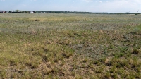 Село Красногор. Следы крепостного вала и рва