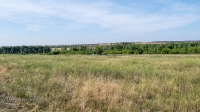 Урочище Волковский