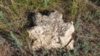 Урочище Петропавловка