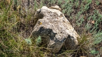 Урочище Петропавловка