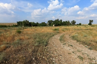 Акбулакский район