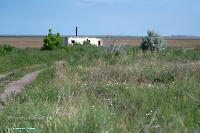 Урочище Пригородный. Июнь 2025 года