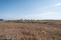 Урочище Пригородный