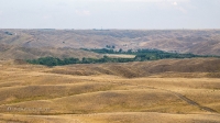 Село Белошапка. Июль 2020 года