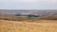 Село Белошапка. Июль 2020 года