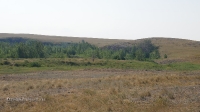 Аул Коинсай (Каинсай)