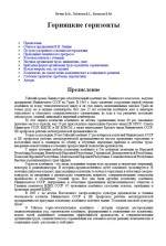 Горняцкие горизонты