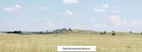 Гора Ильменная Шишка