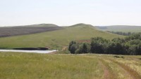 Крутые Шишки